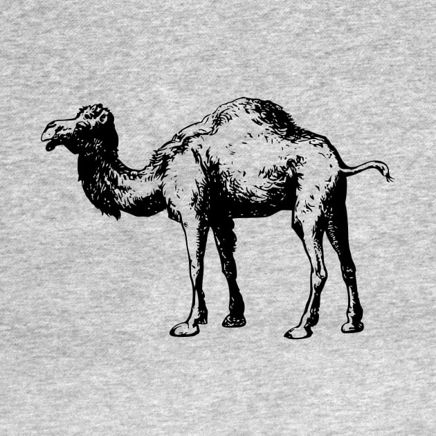 Camel by scdesigns